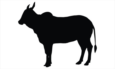 vector silhouette of a cow