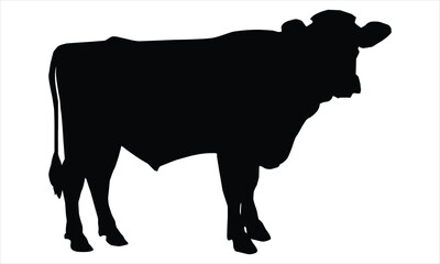 cow silhouette is isolated on a white background