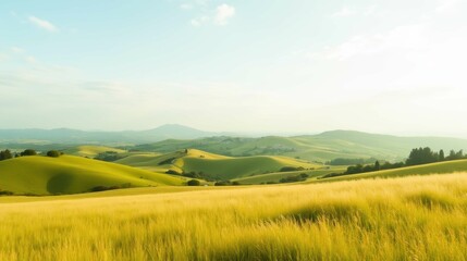 Obraz premium Serene Landscape of Rolling Green Hills Under Blue Sky