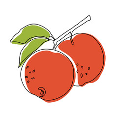 Apple fruit in continuous line art drawing style. Apples fruit concept in line art illustration. Vector art illustration.