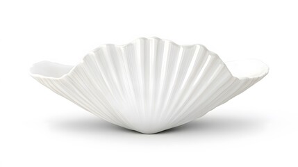 A smooth white seashell, clean white background, transparent isolate