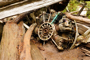 Ruins of the crashed canso plane wreck in the forest of Canada