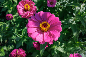 Fototapety na wymiar - Fototapeta24.pl