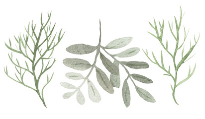 Watercolor set of green fantasy brunches and leaves isolated on white background