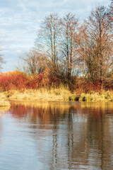 Obraz premium Shot of the river at autumn. Nature