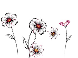 Intricate Crosshatched Floral Designs on Textured Backdrops