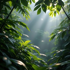 Obraz premium Dense Jungle Leaves with Misty Morning Atmosphere