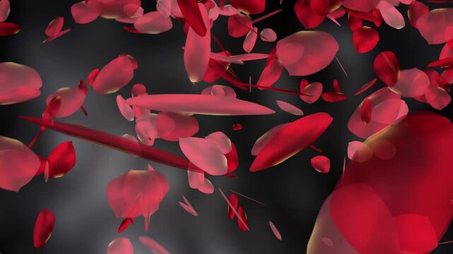 Falling Leaves & Petals