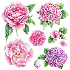 purple flowers