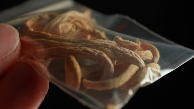 Dried psychedelic mushrooms closeup shot. Psilocybin magic mushrooms used in experiments and research for treatment of depressive disorders. Hand holding dry shroom in the bag, microdosing and health.