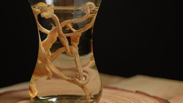 Psilocybin mushroom tea effects therapy concept. Psychedelic medical fresh tea for depression, anxiety and sleep. Mental health and natural medicine, psychedelic treatment and wellness. Tea brewing.
