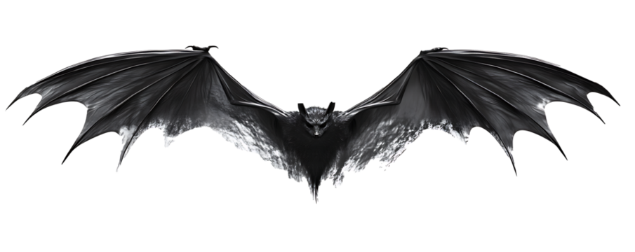 black silhouette of a bat isolated isolated on white background PNG.AI GENERATED