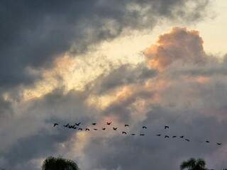 Céu e Nuvens