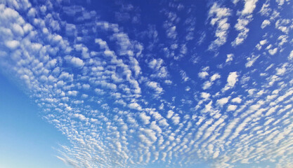 Altocumulus cloud formations in a vibrant blue sky at sunset