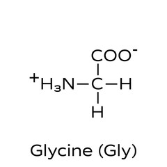 Glycine, a non-essential amino acid. Structure of glycine. Vector illustration on isolated background.