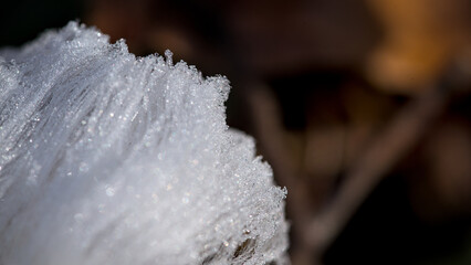 frozen ice crystals on the ground in winter, macro of ice hair, ce wool, frost beard, close up
