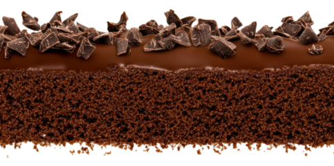 Chocolate cake topped with shavings