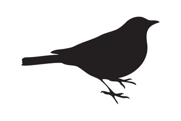 Black Bird Silhouette Illustration.