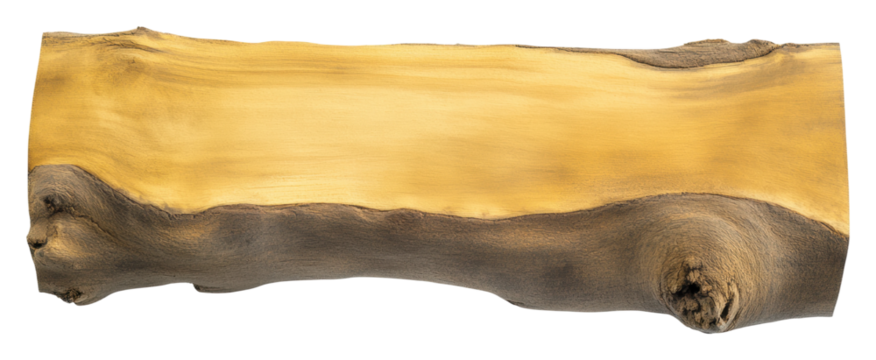 Unique wooden log on transparent background