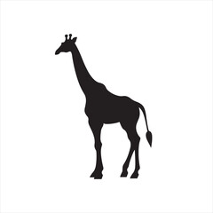 Simple and Clean Giraffe Icon in Professional Graphic Style