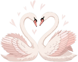 Swans Couple valentine’s day