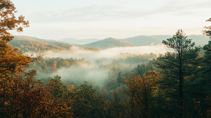 Majestic mountains rise through morning mist with soft sunlight creating a cinematic view