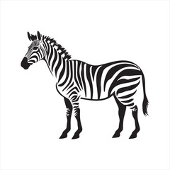 Simple Flat Zebra Illustration on White Background