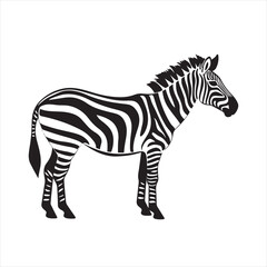 Fototapeta premium Minimalist Zebra Side View Illustration with Black Outline