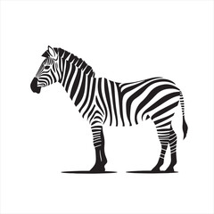 Obraz premium Minimalist Zebra Side View Illustration with Black Outline