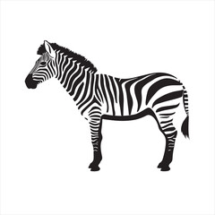 Minimalist Zebra Side View Illustration with Black Outline