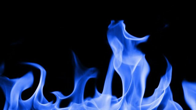 Gas burns with a bright blue flame. Beautiful dancing fire, Lots of fire. Blue fire is burning. Bright blue flames. A wall of real fire, abstract background. Super-slow motion video in 4K.
