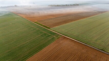 Aerial View of Foggy Farmland and Orchard at Sunrise