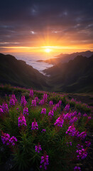 Mountain Majesty: Sunrise Over Madeira, Portugal with Vibrant Fireweed Flowers & Sea of Clouds