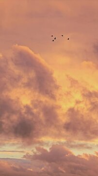 C&eacute;u no fim de tarde