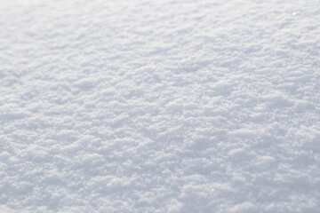 A Fresh Layer of Snow on the Ground, Revealing the True Beauty of Winters Season