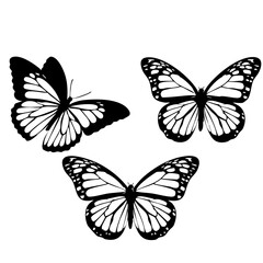 Butterfly Silhouette Set – Graceful Wings in Flight
