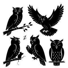 Whimsical Owl Silhouette Set – Perched, Flying, and Sleeping
