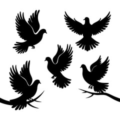 Dove Silhouette Collection – Graceful Birds in Flight and Perched