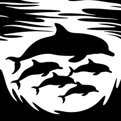 silhouette of dolphins