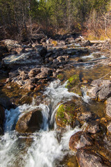Serene Forest Stream Flowing Over Smooth Stones in Natural Tranquil Setting