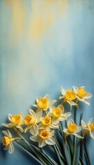 Fototapeta premium Bouquet of yellow daffodils on a blue background: a symbol of spring and new life.