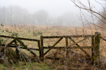 nebliger Morgen auf dem Feld