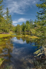 Russia. The Republic of Buryatia. Scenic view of an unnamed swampy river in the Western Sayan Mountains near the mouth of the Tissa River.