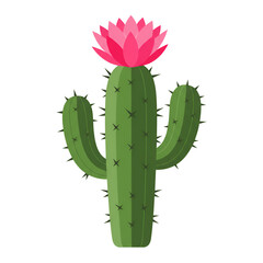 Green Cactus with Vibrant Pink Bloom