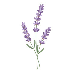 Naklejka premium Lavender Sprig with Subtle Shapes and Elegant Design