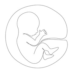 Baby in the womb heart shaped with umbilical cord Line drawing Logo.