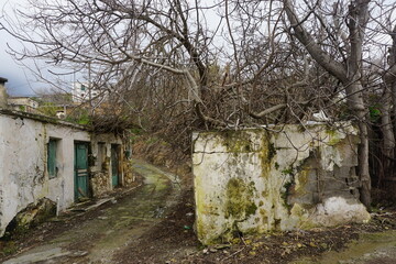 Old, dilapidated houses in Plora, lie there in ruins with locked doors guarding the memories of...