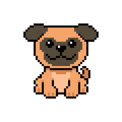 Fototapeta premium Pixel art cute pug dog vector in retro style for design.