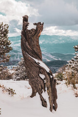 Snow on Mount Lemmon Tucson Arizona