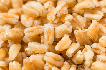 Organic Cooked Italian Farro Rice